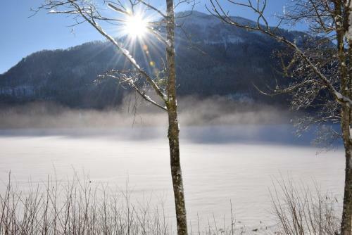 Apartment Bergsee