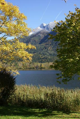 Apartment Bergsee