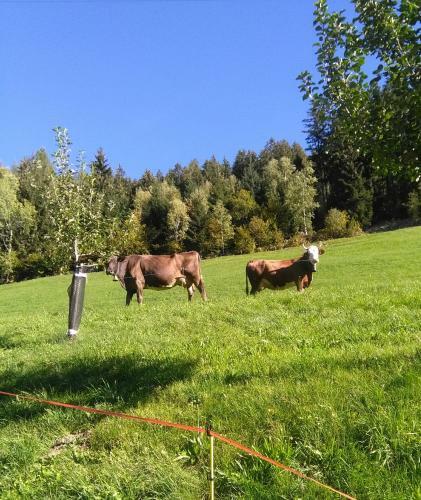 Apartamento Stockhof