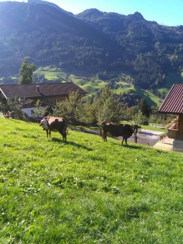 Apartamento Stockhof