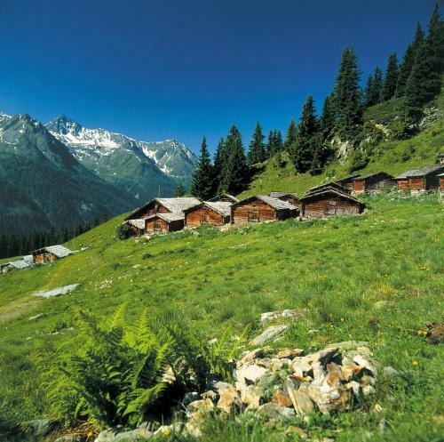Apart Al-collina