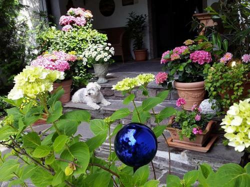 Bed & Breakfast Haus Am Moos