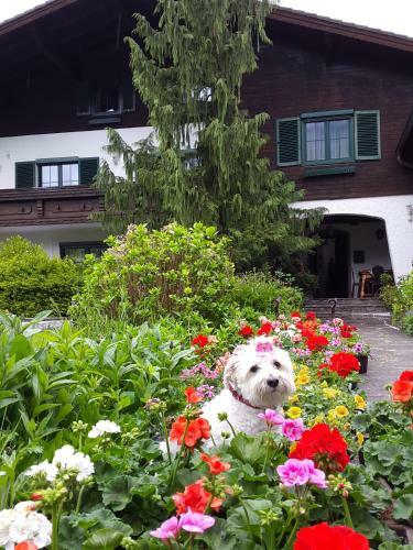 Bed & Breakfast Haus Am Moos