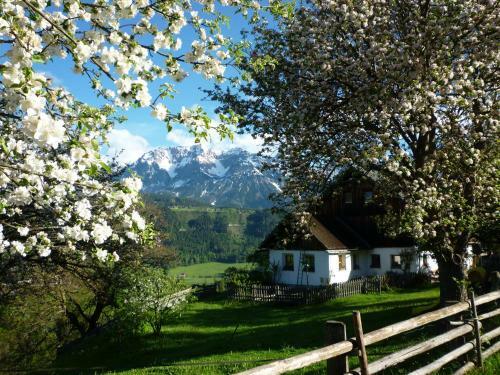 Apartamento Fenzhof