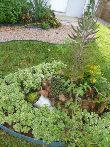 Apartamento Villa Hol�stica