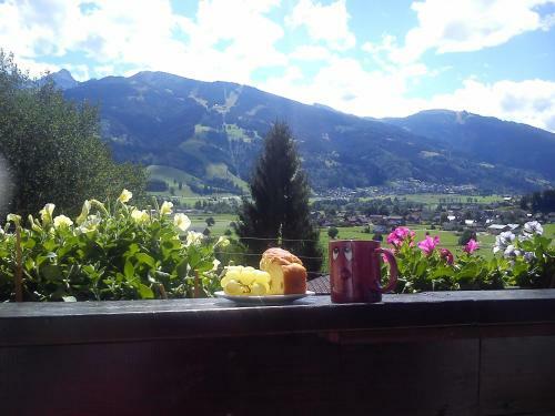 Apartamento Haus Landl