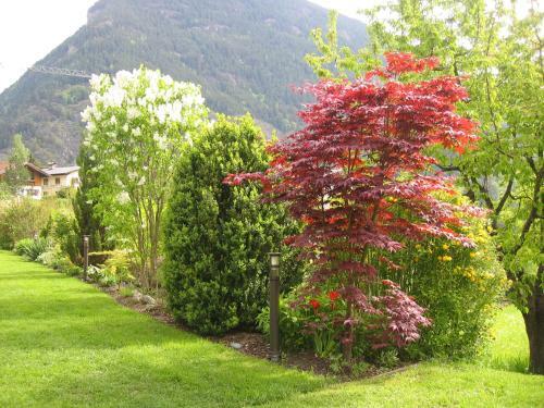 Hostal Haus Alpengl�hn