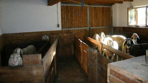 Apartamento Michelas - Hof