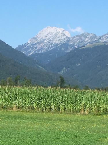 Apartamento Ferienhaus Lesch