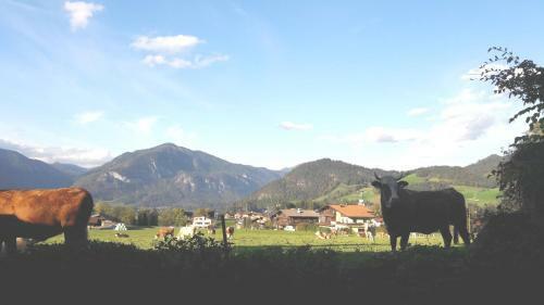 Apartamento Landhaus M�ller
