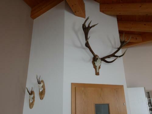 Apartamento Chalet Maiskogel Kaprun