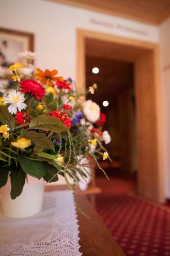 Hostal Pension Alwin