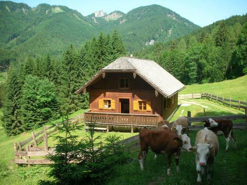 Agroturismo Reiterhof Suassbauer