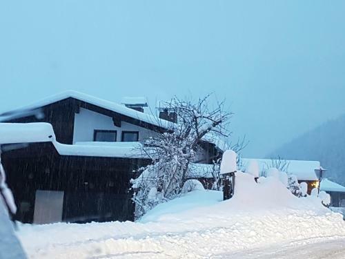 Apartamento Appartements Zinner-pale