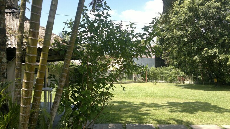 Junglez Eco Hostel