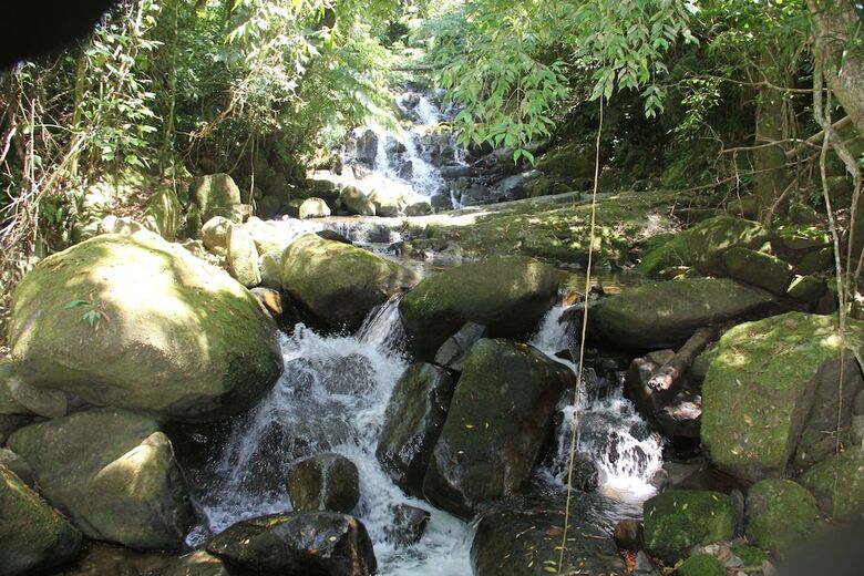 Junglez Eco Hostel