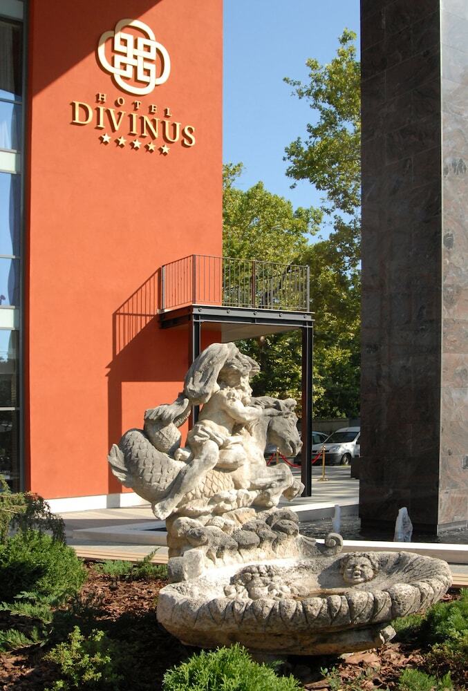 Hotel Divinus