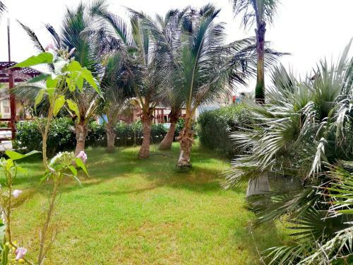 Aparthotel Tropical