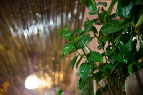 Hotel Kirin Marry Angkor Villa