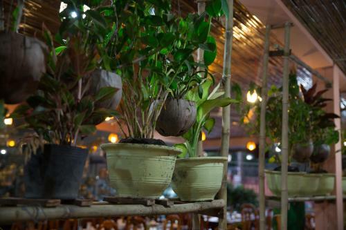 Hotel Kirin Marry Angkor Villa