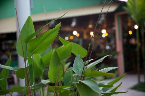 Hotel Kirin Marry Angkor Villa