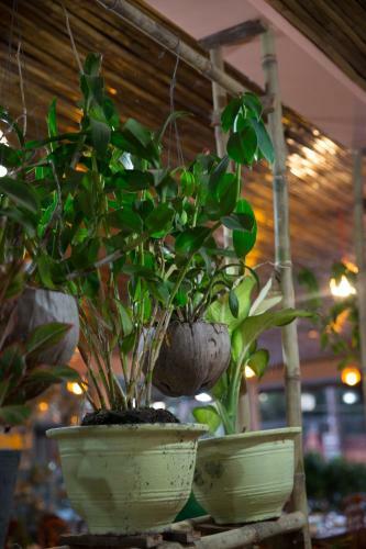 Hotel Kirin Marry Angkor Villa