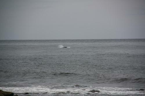 Bed & Breakfast La Maison Entre Mer Montagnes