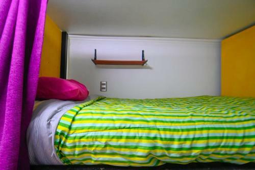 Gecko Hostel