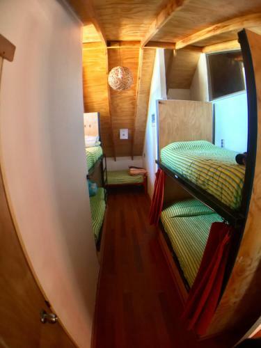 Gecko Hostel