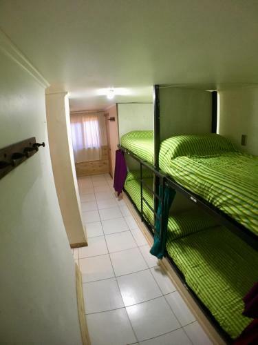 Gecko Hostel