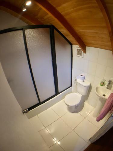 Gecko Hostel