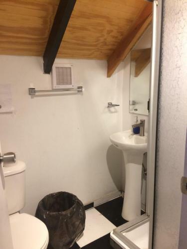 Gecko Hostel