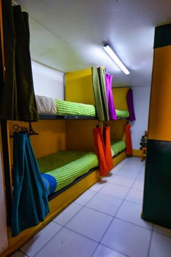 Gecko Hostel