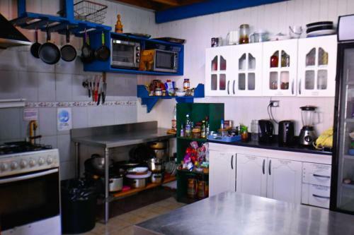 Gecko Hostel