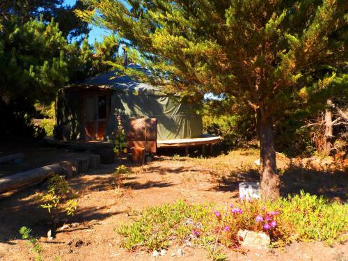 Agroturismo Desdeoriente Punta De Lobos