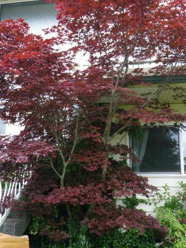 Apartamento Kvarno Guest House