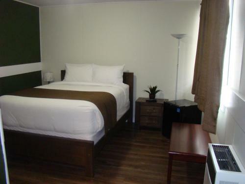Motel Paddock Inn
