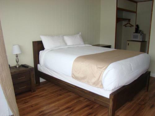 Motel Paddock Inn