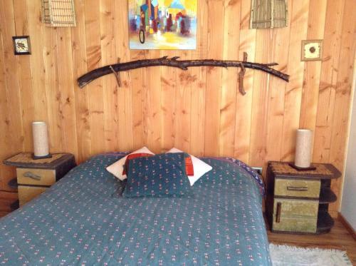 Lodge Caba�as Wualmapu