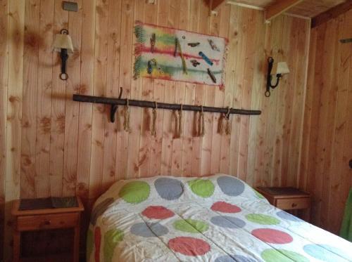 Lodge Caba�as Wualmapu