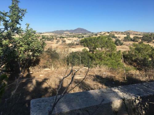 Mazotos Hills Villa
