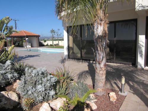 Mazotos Hills Villa