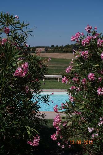 Bed & Breakfast La Lodola