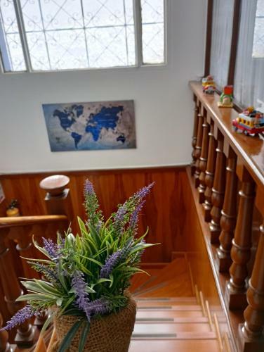Hotel Maceo 55 - Colonial Inn