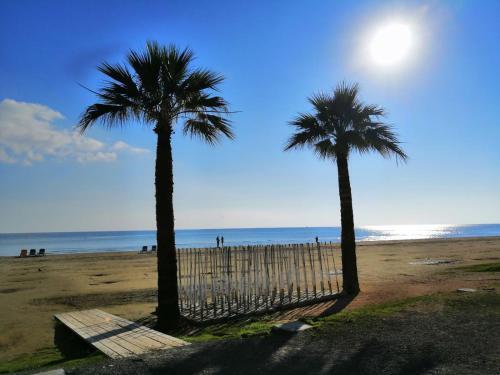 Alex Beach Apartment 51