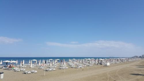 Alex Beach Apartment 51