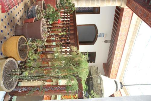Albergue Riad Chakir Mogador