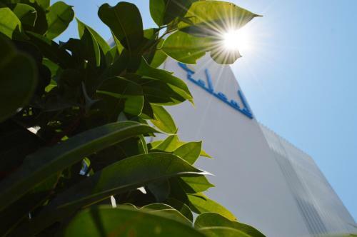 Island Boutique Hotel