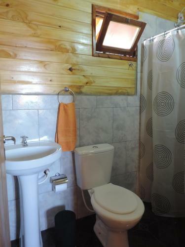 Apartamento O Negra�