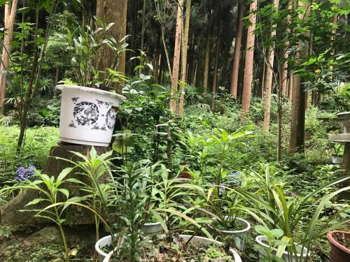 Mount Emei Feng Lin Yue Hotel